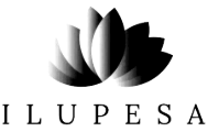 Ilupesa Ilusalong